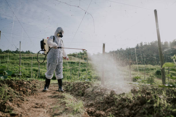 Best Affordable Pest Control Services  in Lakeside, MT