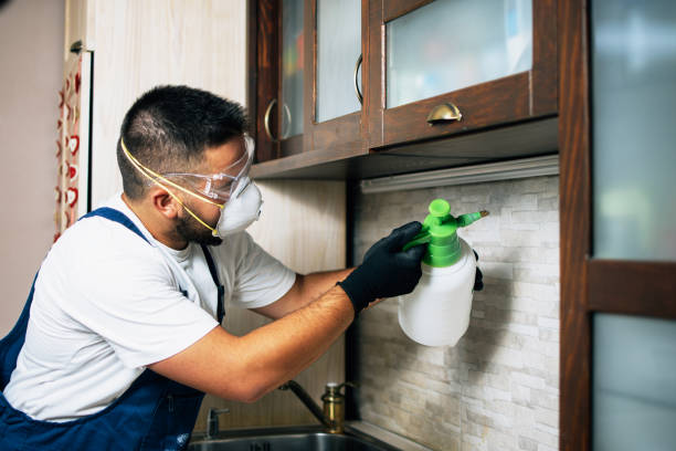 Best Best Pest Control Companies  in Lakeside, MT