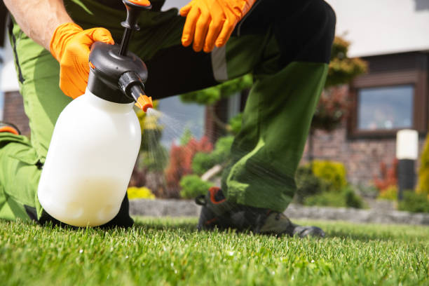 Best Pest Prevention Services  in Lakeside, MT