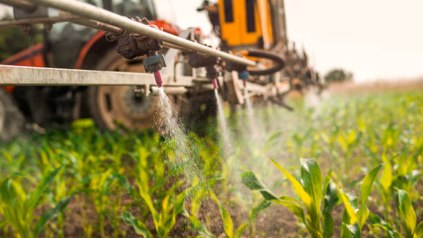 Professional Pest Control in Lakeside, MT